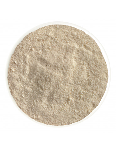 SAUCE BÉCHAMEL